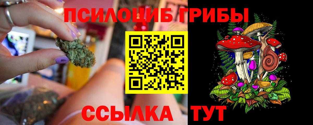 Псилоцибиновые грибы прущие грибы  Вход с VPN  сколько стоит  Псилоцибиновые грибы мицелий  Ефремов 