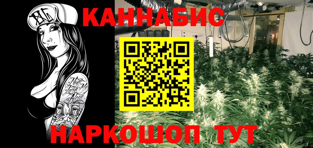 Канабис семена Ефремов